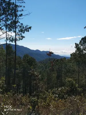 Paisaje cerca de este chalet de montaña