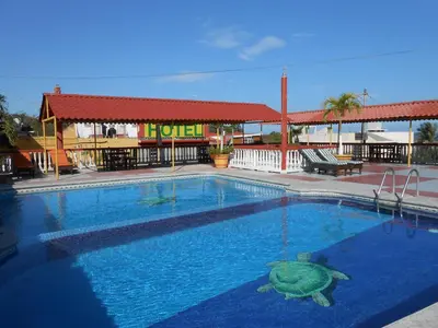 Piscina en o cerca de Hotel y Bungalows Monteverde