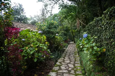 Jardín al aire libre en Hotel Taselotzin