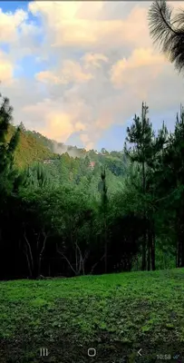 Paisaje cerca de esta casa o chalet