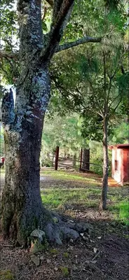 Jardín al aire libre en Cabaña La Vía Láctea