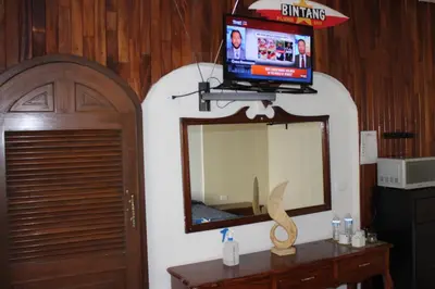 Una televisión o centro de entretenimiento en Habitacion 2 acceso independiente y autonomo Puebla