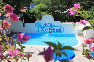 Piscina en o cerca de Hotel Xestal