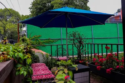Jardín al aire libre en Casa Real Coyoacán
