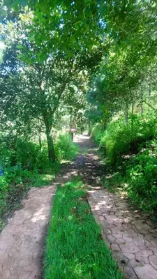 Paisaje cerca de este chalet de montaña