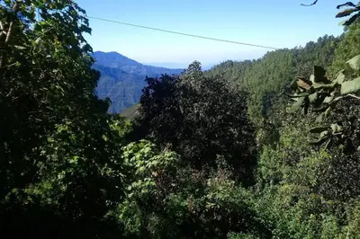 Paisaje cerca de este chalet de montaña