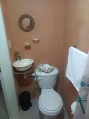 Un baño de La casa de las flores