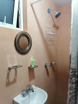 Un baño de La casa de las flores