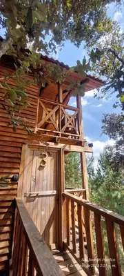 Un balcón o terraza de Cabaña en el Bosque de San José del Pacífico 3