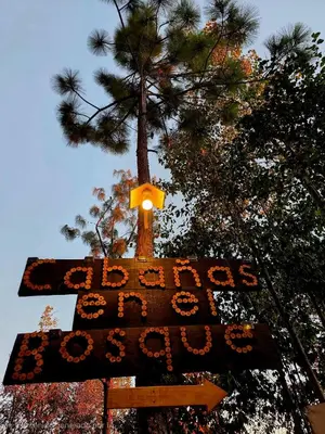 Plano de Cabaña en el Bosque de San José del Pacífico 3