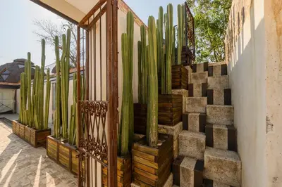 Jardín al aire libre en Ex Hacienda San José