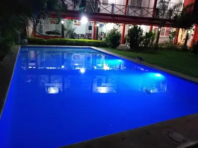 Piscina en o cerca de quintaolivos Jardín y Alberca!