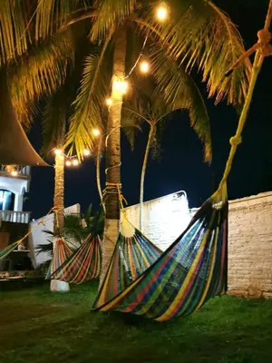 Jardín al aire libre en COCO HOUSE CHACHALACAS