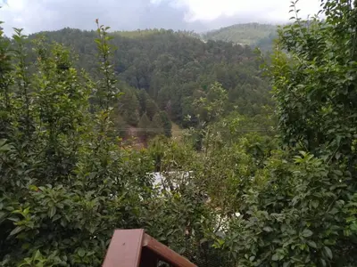 Paisaje cerca de este apartamento