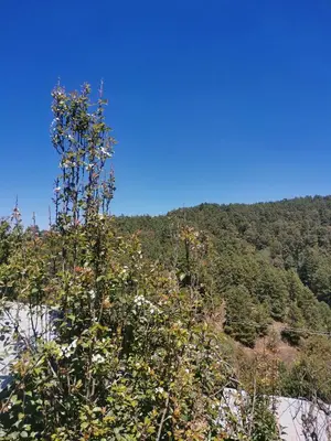Paisaje cerca de este apartamento