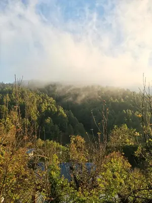 Paisaje cerca de este apartamento