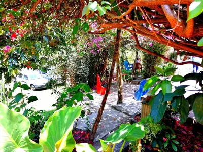 Jardín al aire libre en Casa Don Rubén