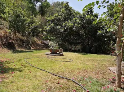 Jardín al aire libre en Casa Don Rubén