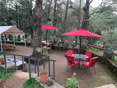 Jardín al aire libre en Hermosa cabaña en el bosque