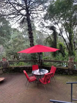 Jardín al aire libre en Hermosa cabaña en el bosque