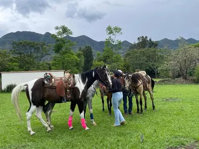 Animales en el bed & breakfast o alrededores