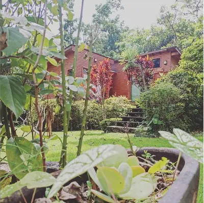 Jardín al aire libre en Canto de Aves