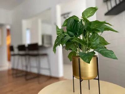 Una cocina o zona de cocina en Departamento Nubes