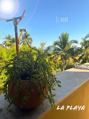 Jardín al aire libre en Hotel La Playa