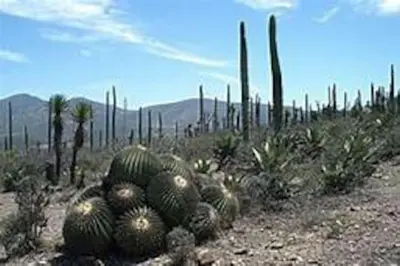 Paisaje cerca de esta casa o chalet