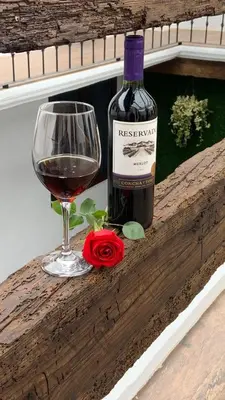 Bebidas en Hotel La Cofradía