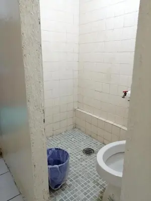 Un baño de Caracas