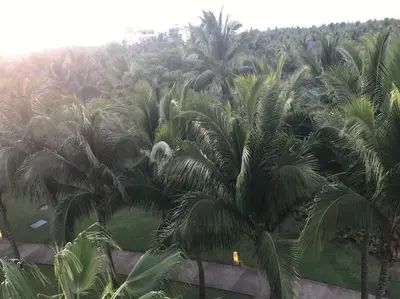 Paisaje cerca de este apartamento