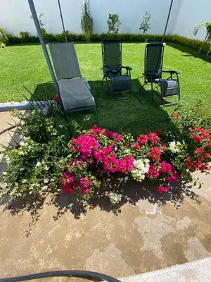 Jardín al aire libre en Casa Mía Morelos