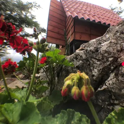 Jardín al aire libre en Cabañas Yei Calli