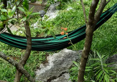 Paisaje cerca de este camping