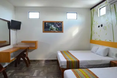 Cama o camas de una habitación en Hotel Axolotl
