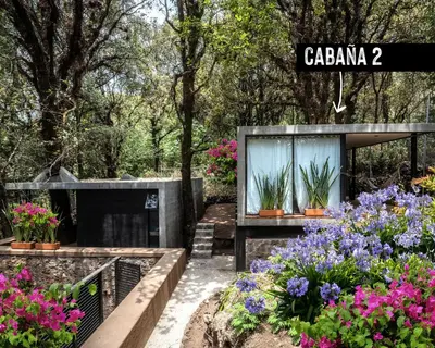 Jardín al aire libre en Fungi Tepoz Cabins
