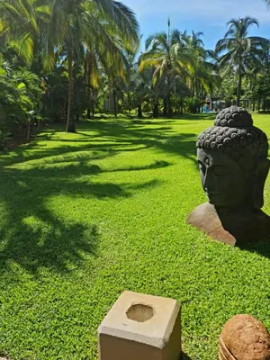 Jardín al aire libre en LA ISLA RESIDENCES/HERMOSO DEPA