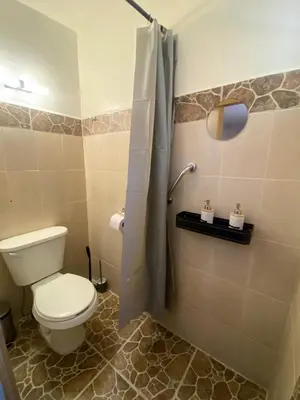 Un baño de Compact Studio Suite Casa Icacos Apt 1