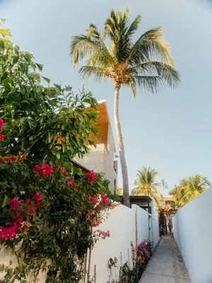 Jardín al aire libre en Casa Pelicano