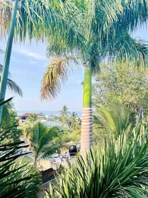 Paisaje cerca de este apartamento