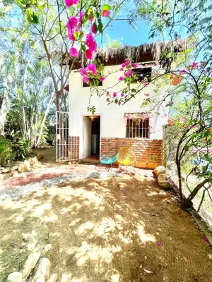 Jardín al aire libre en El Eden Escondido