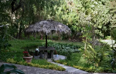 Jardín al aire libre en Cocuyo Glamping