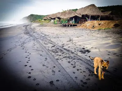 Plano de Casa Choco