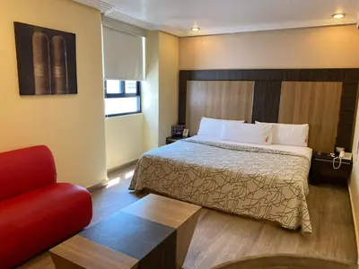 Cama o camas de una habitación en HOTEL M ELITE ROJO