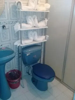 Un baño de Cabañas del Coronel