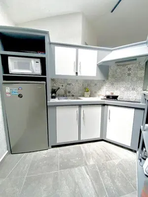 Una cocina o zona de cocina en Departamento tipo LOFT cerca de hospital Angeles