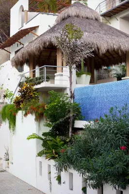 Jardín al aire libre en Hotel Casa Justina