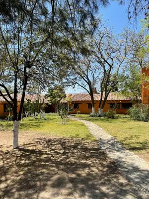 Jardín al aire libre en Casa Paraiso San Pablo