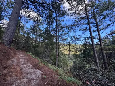Paisaje cerca de esta casa o chalet